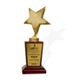 Web Ratna Award 2009